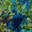 Forest Glade thumbnail 1
