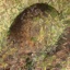 Remain thumbnail 1