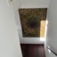 Herfst thumbnail 2
